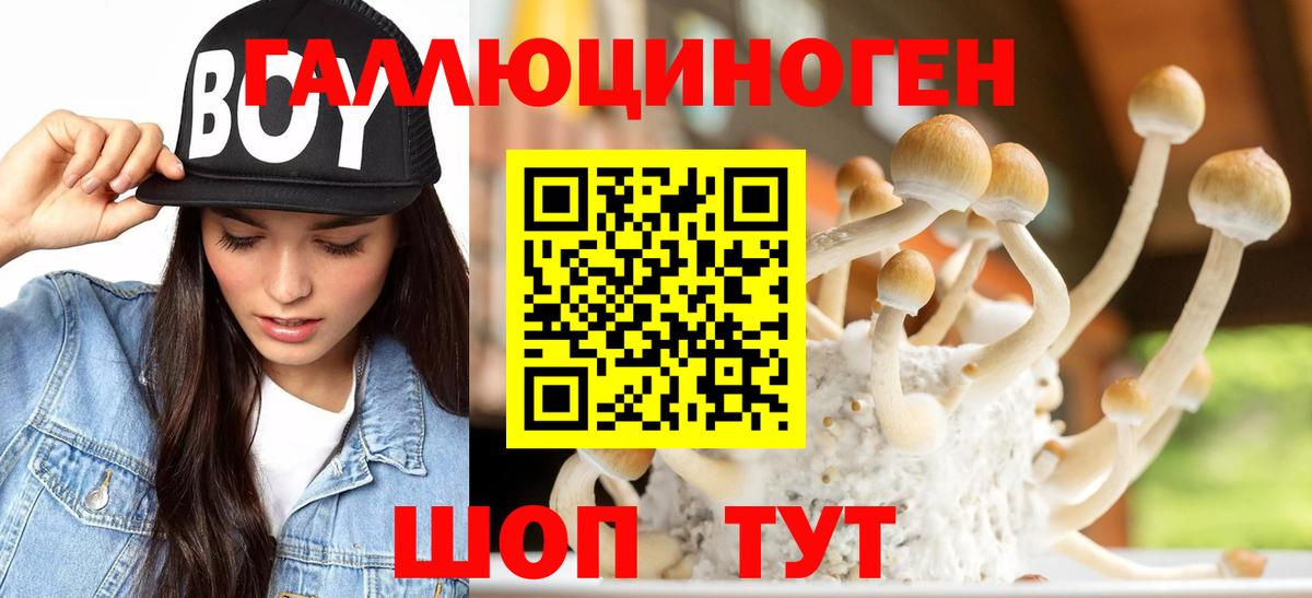 Галлюциногенные грибы Magic Shrooms  хочу   Ленинск-Кузнецкий  Вход с VPN 